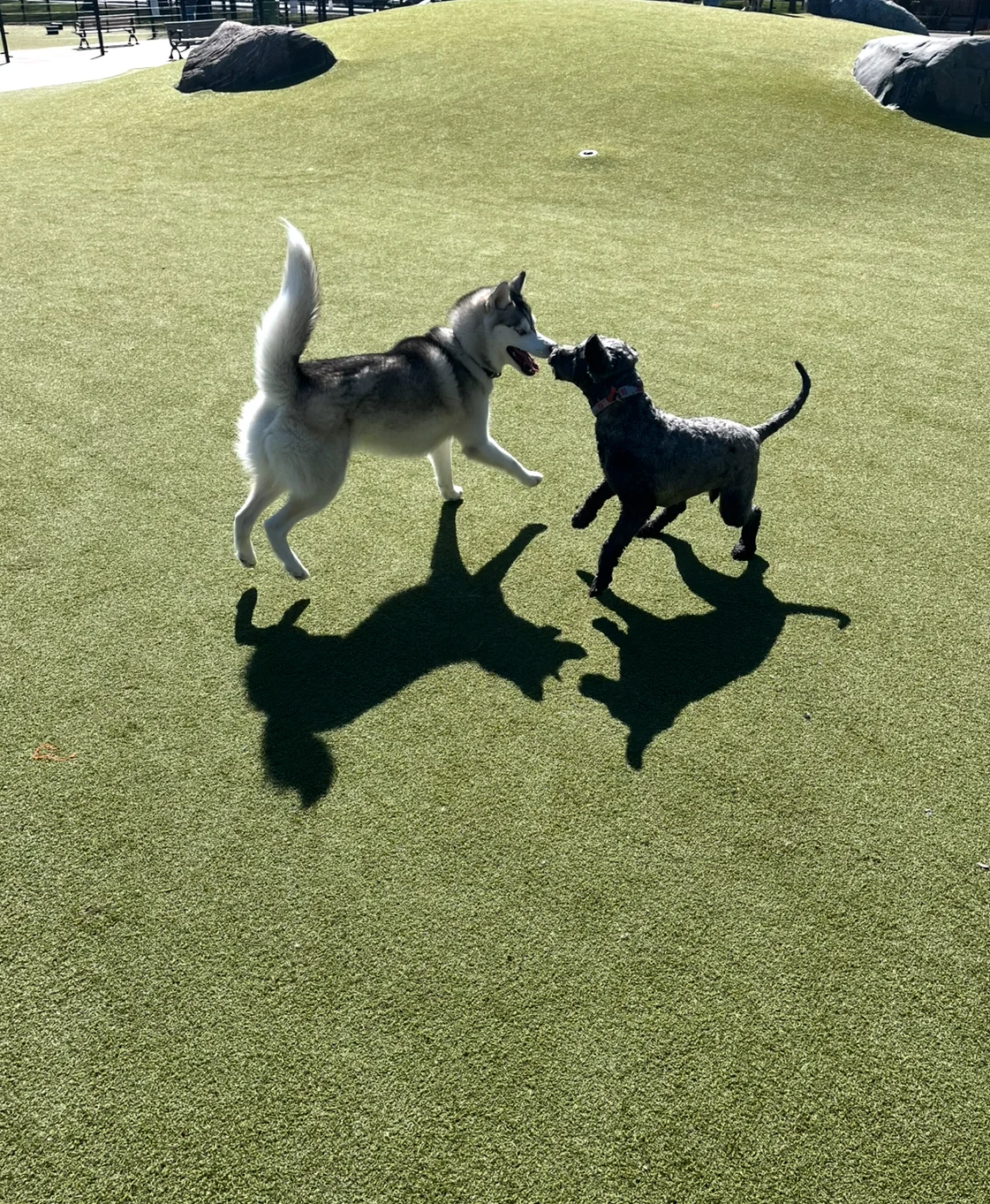 IMG_6796.webp