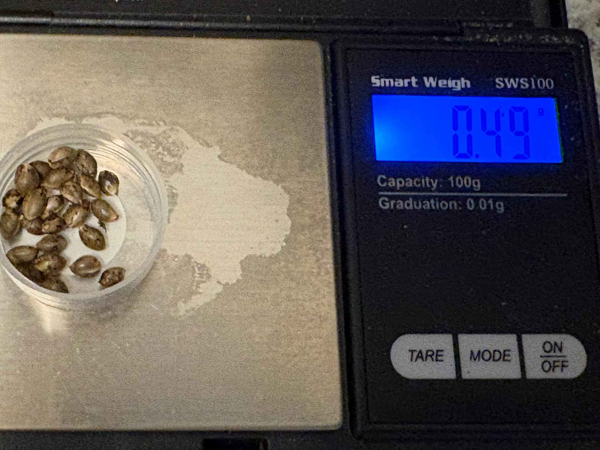 Seed weight after drying. 