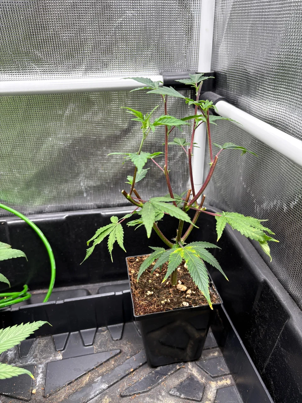 IMG_9724.webp