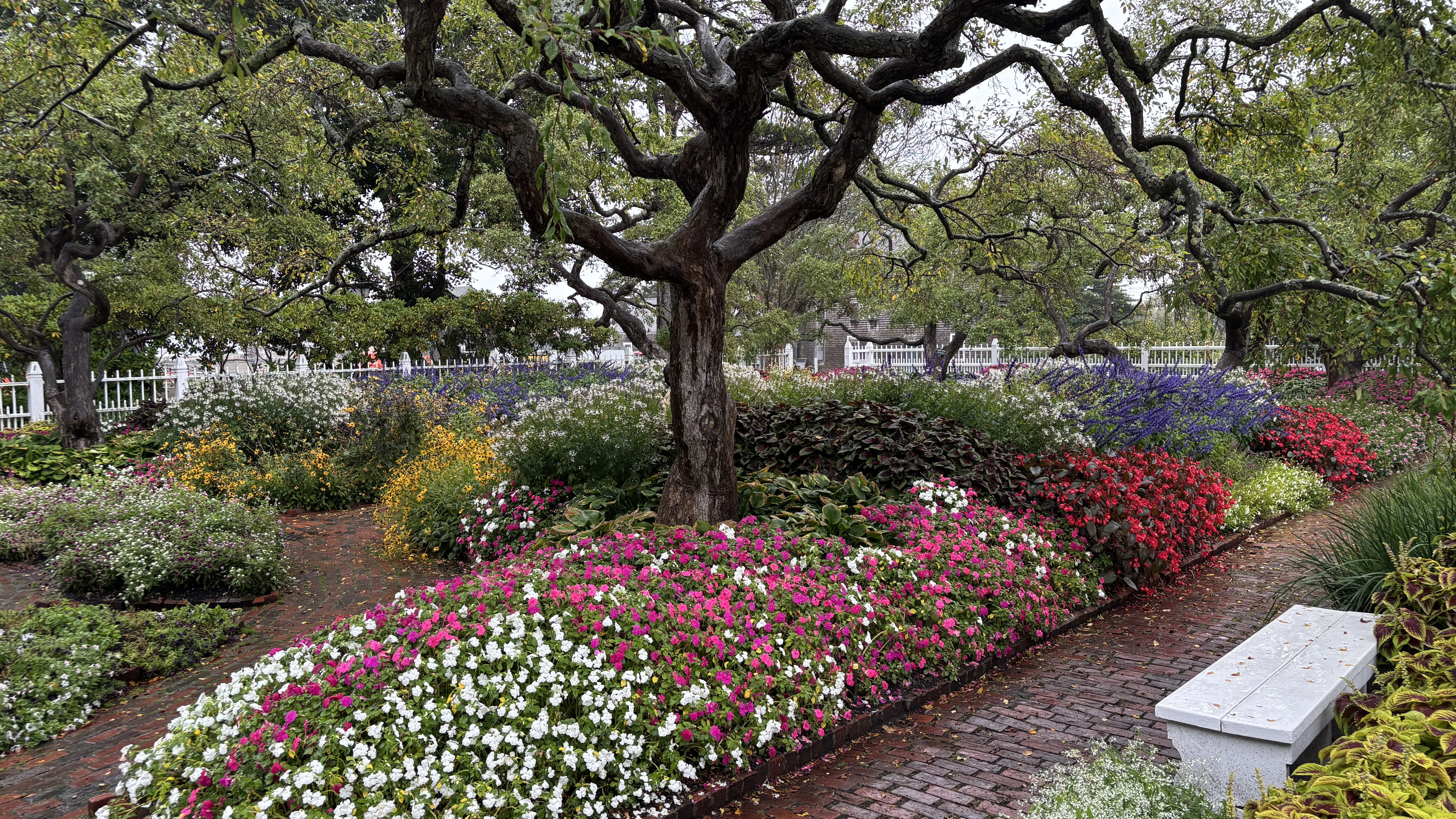 IMG_E0462.webp