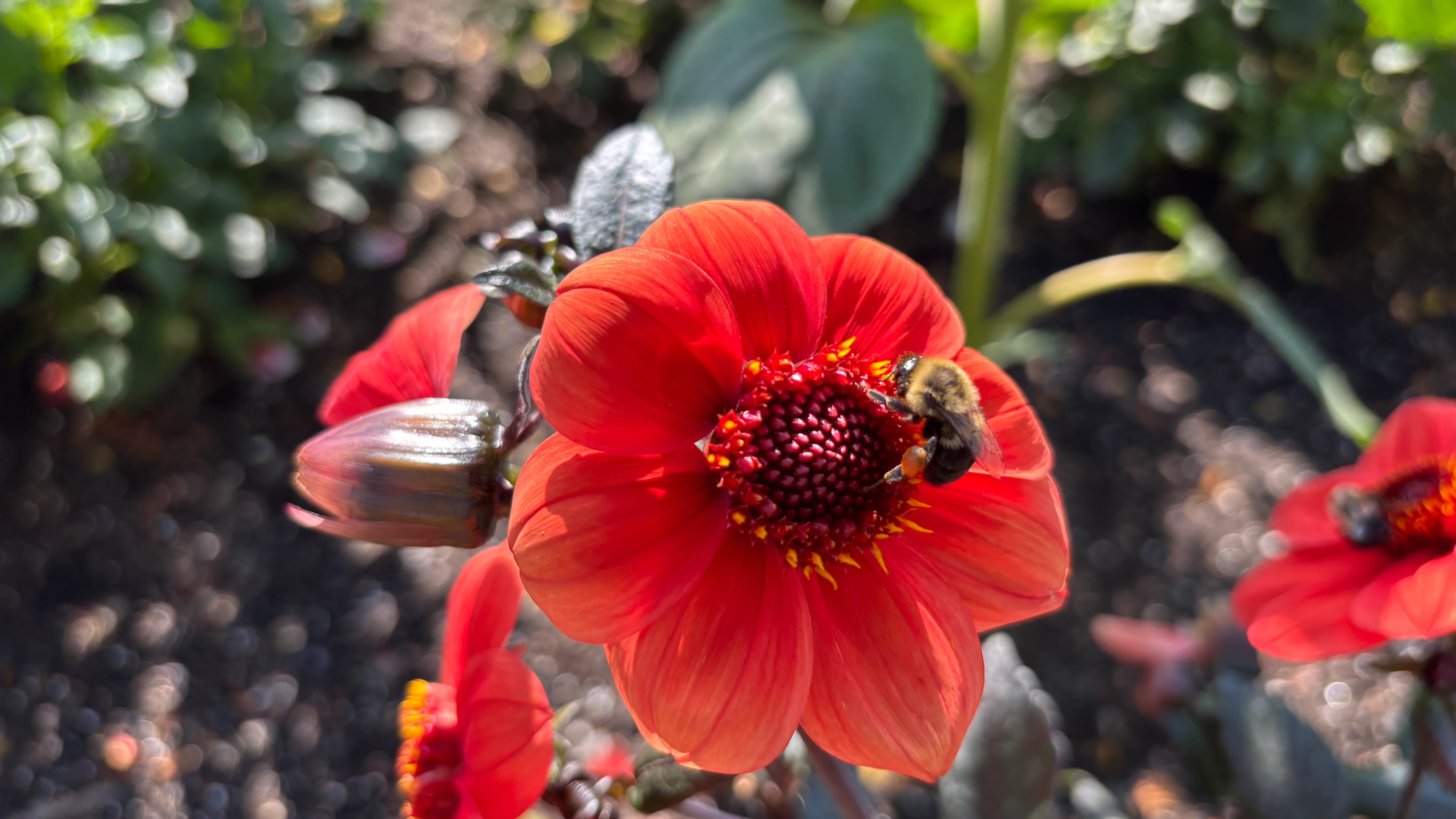 IMG_E0506.webp