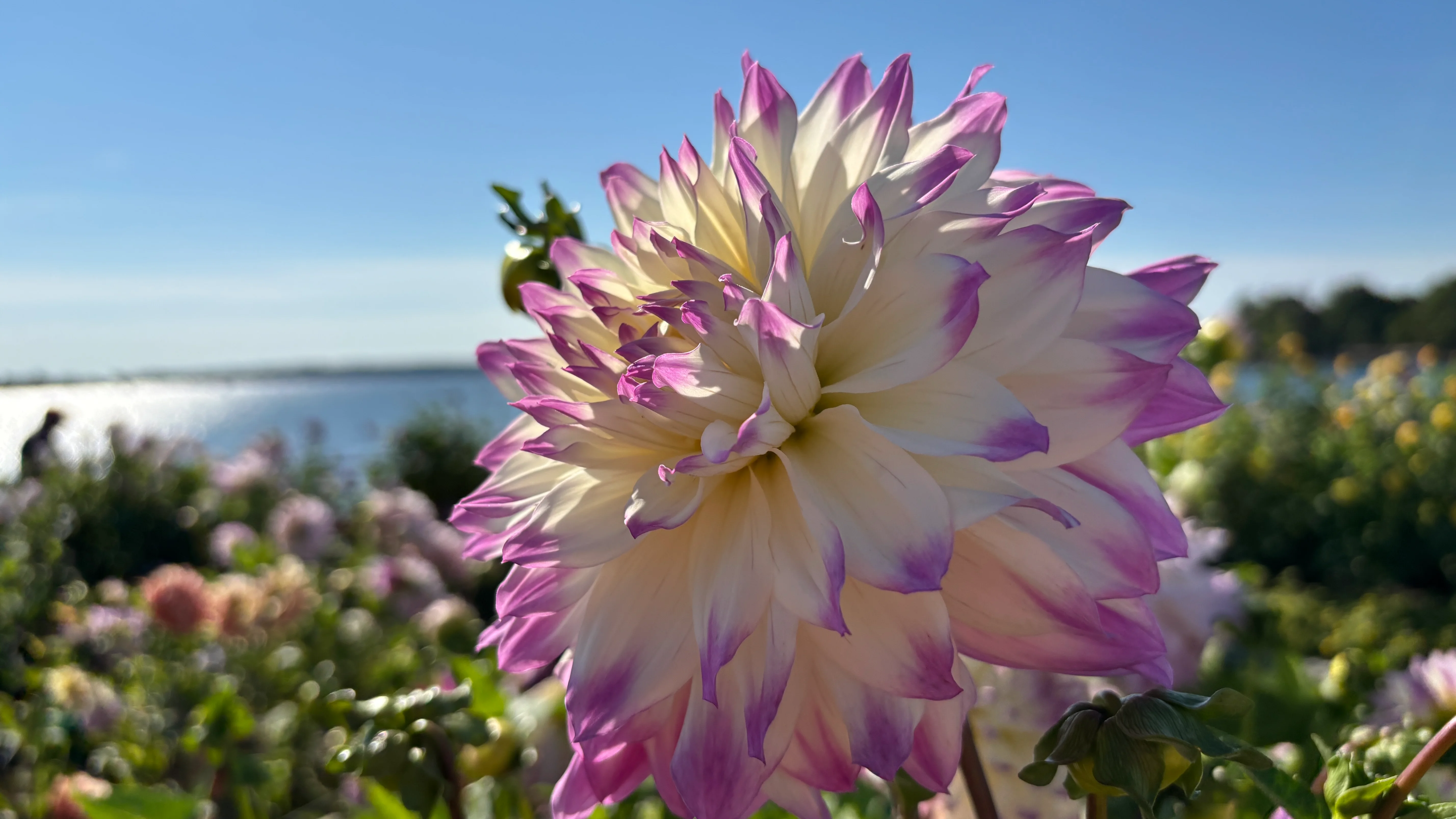 IMG_E0508.webp