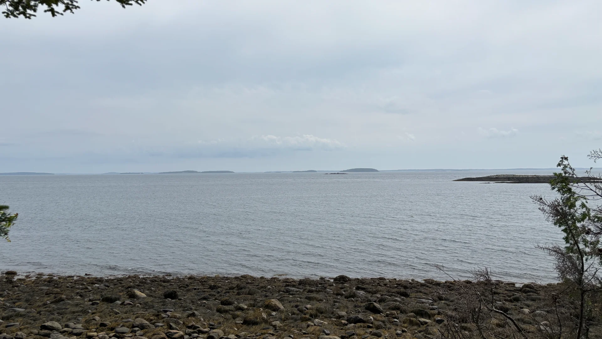 IMG_E1453.webp