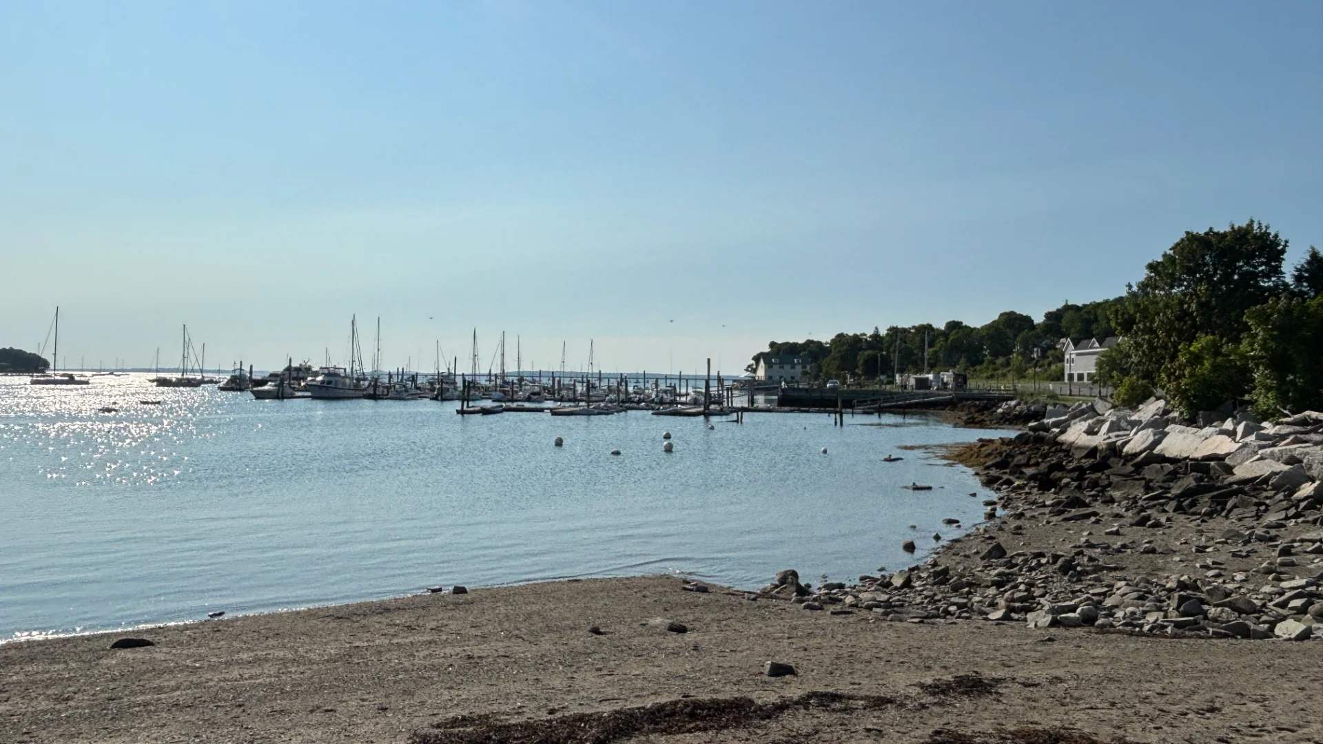 IMG_E1516.webp