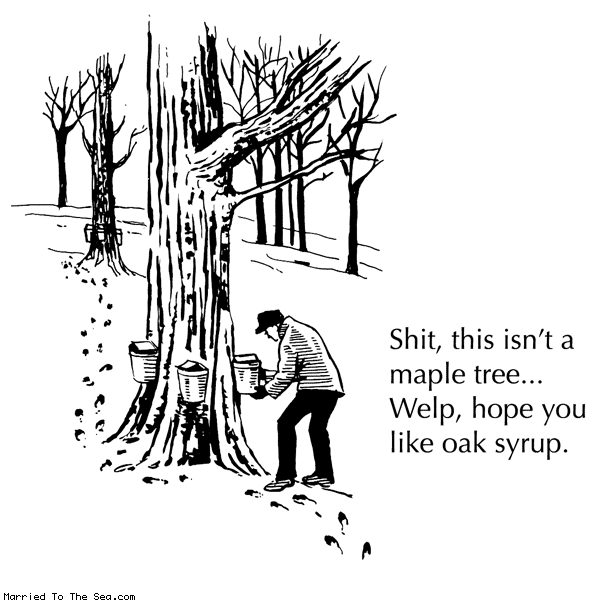 isnt-a-maple-tree.gif