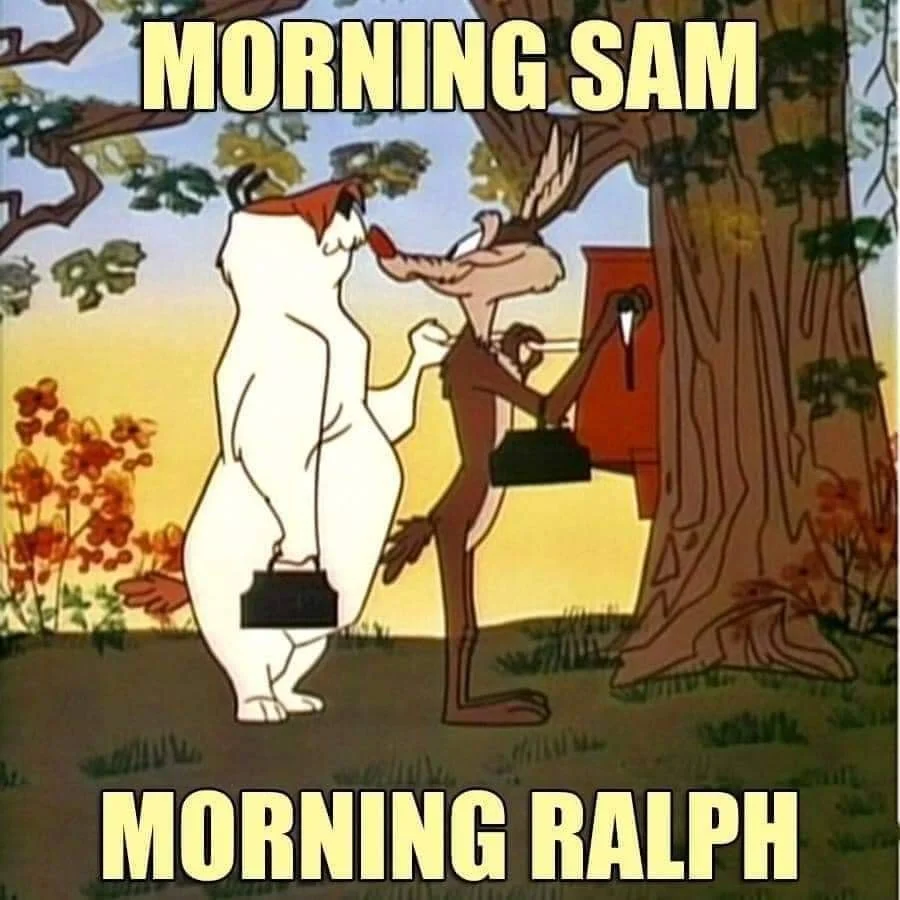 Morning sam and ralph.webp