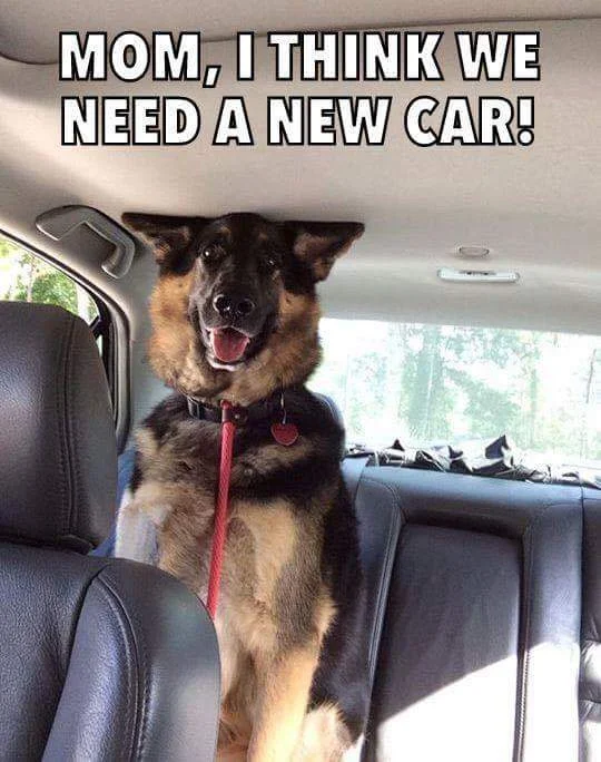 new-car.webp