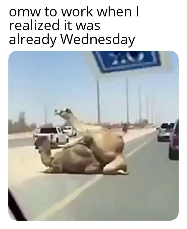 On-my-way-to-work.webp