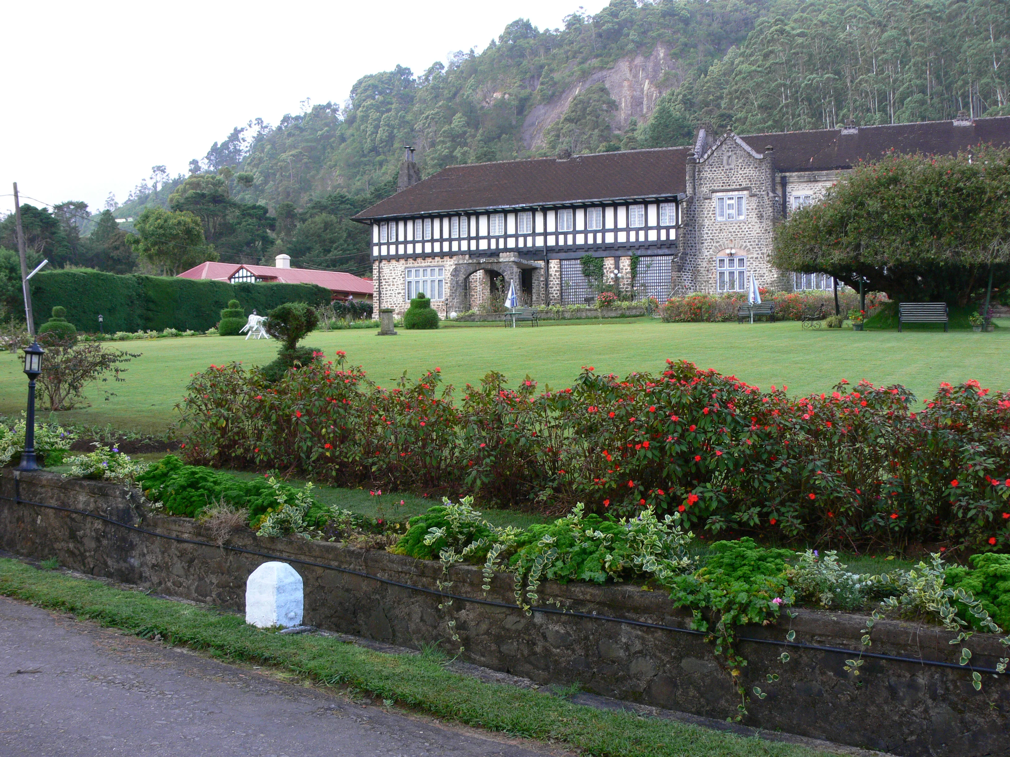 P1020755.webp