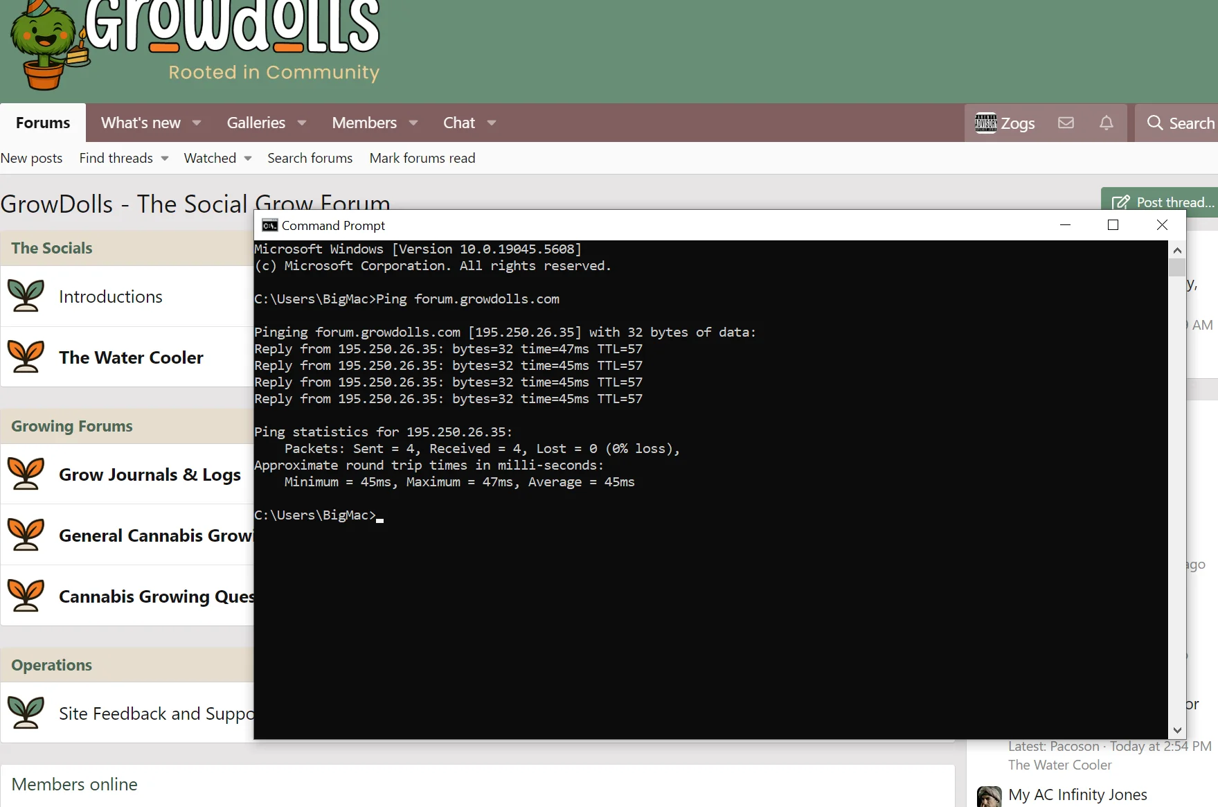 Ping.webp