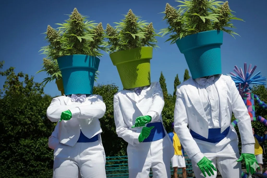 pothead.webp