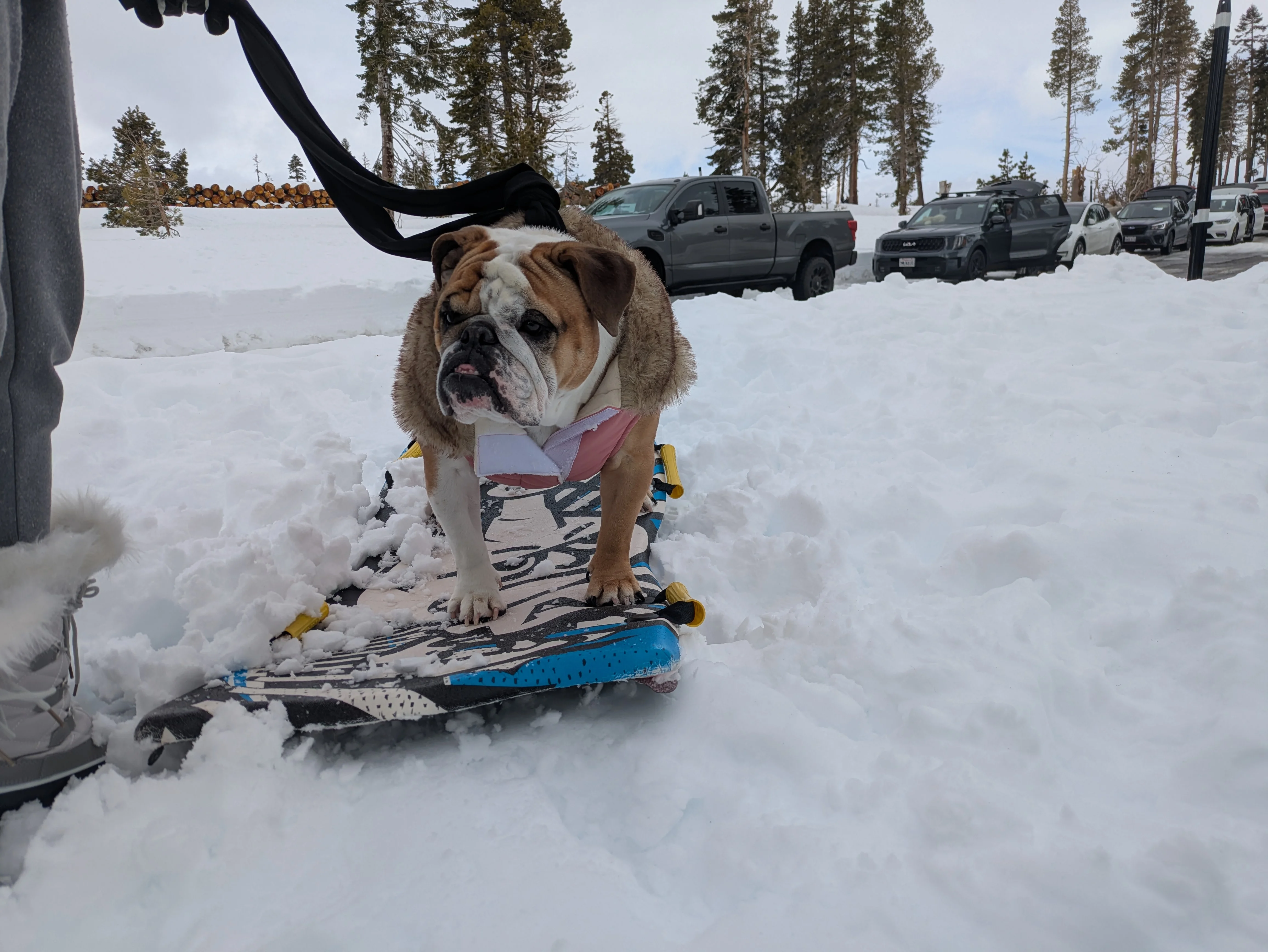 PXL_20250216_211954056.MP.webp