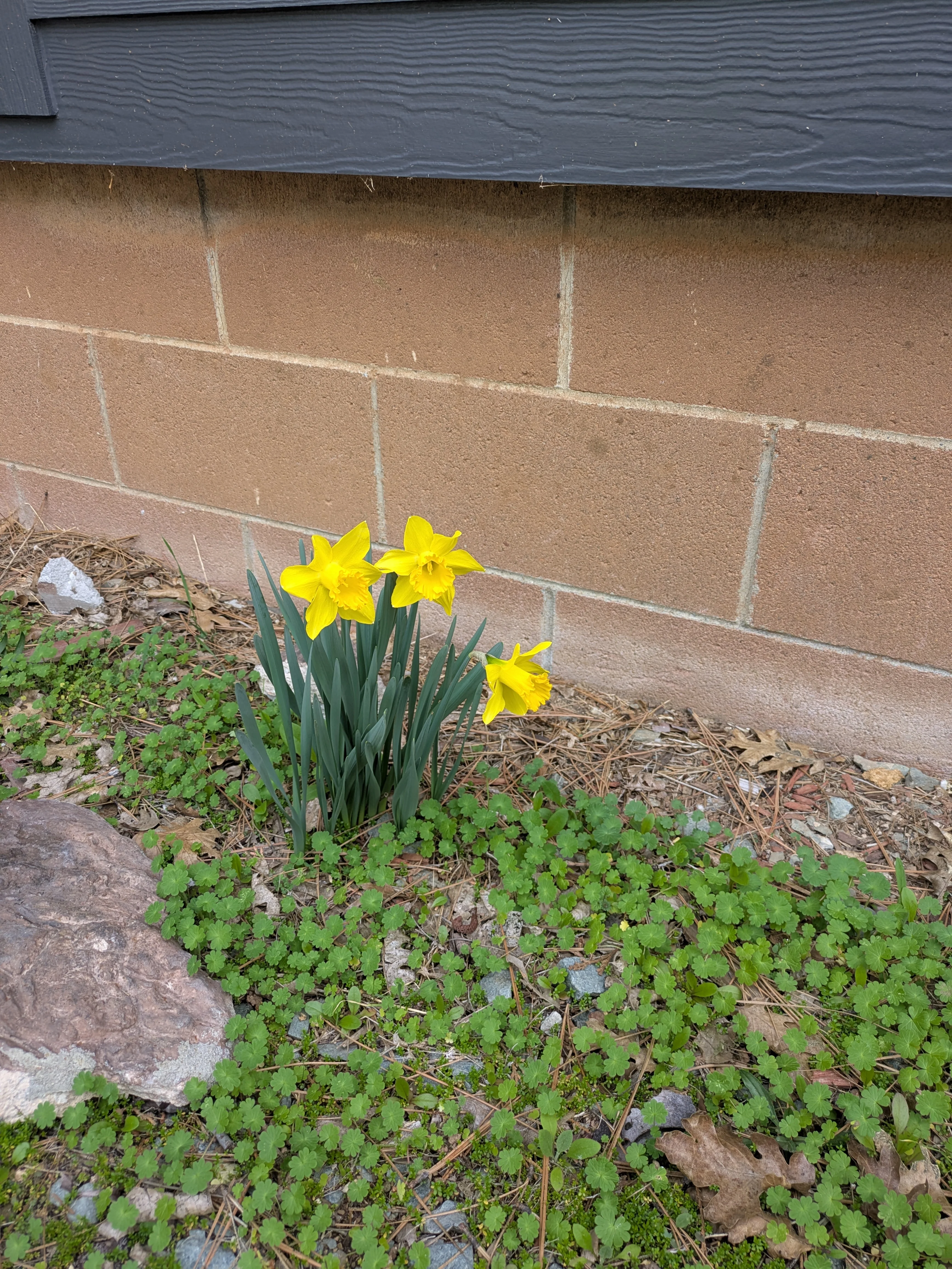 PXL_20250227_171154087.webp