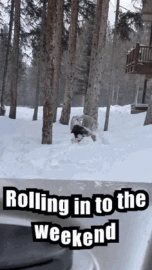 rolling-rollingintotheweekend.webp