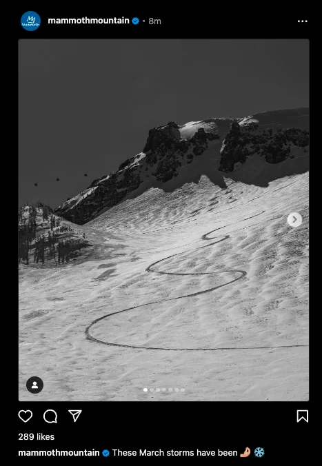 Screenshot 2025-03-07 at 1.44.27 PM.webp