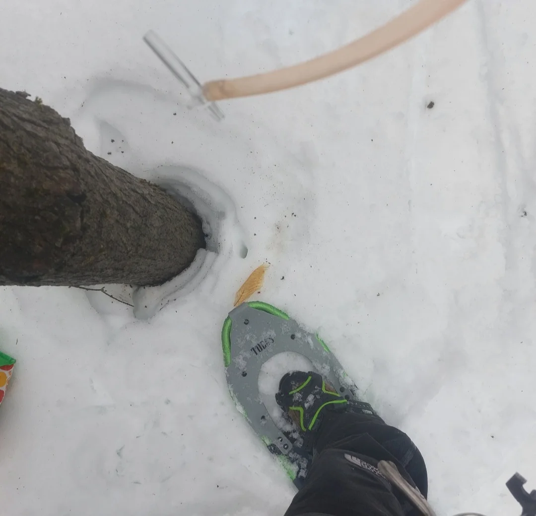 Screenshot_20250306_084813_Gallery.webp
