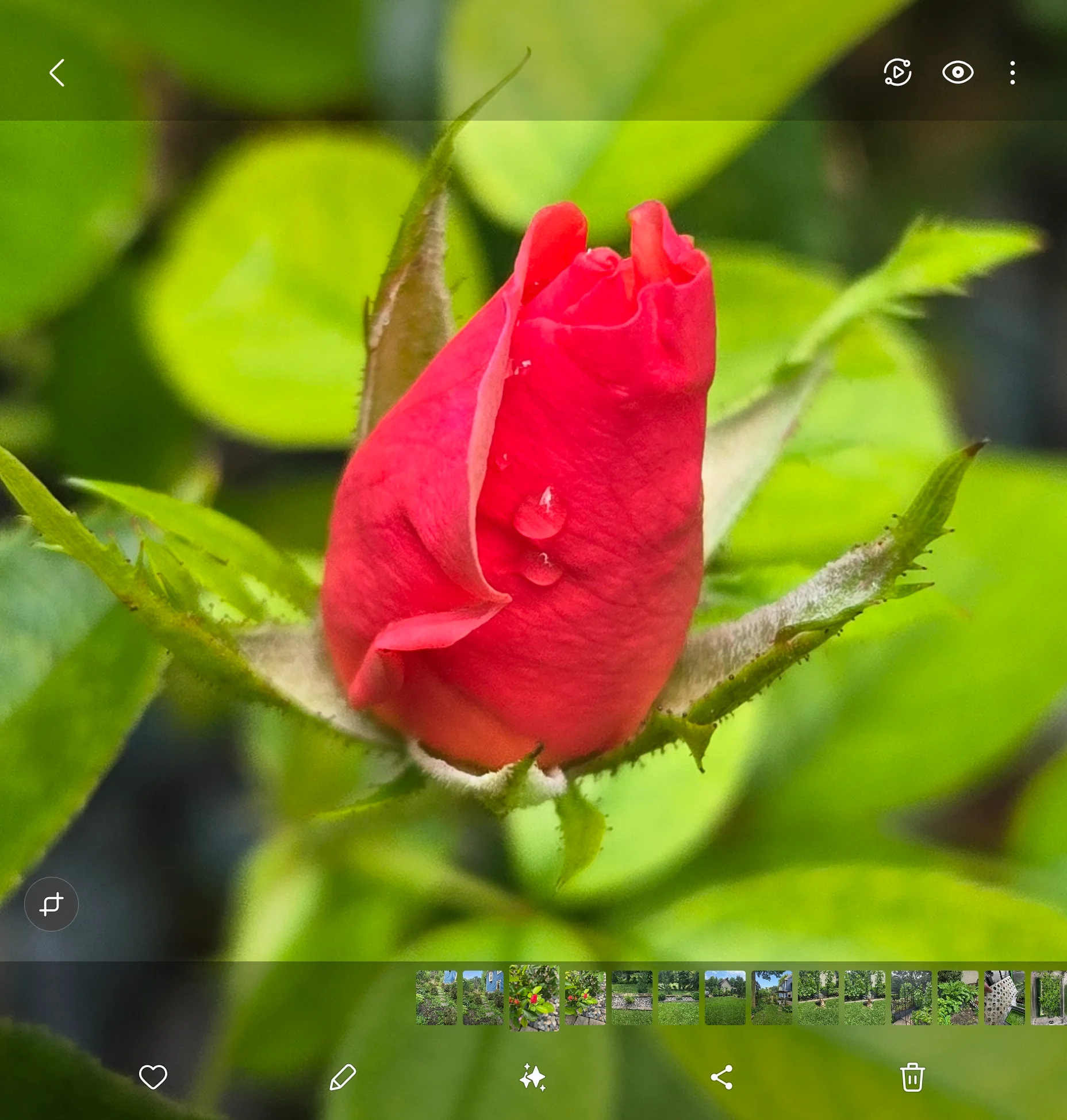 Screenshot_20250729_172603_Gallery.webp