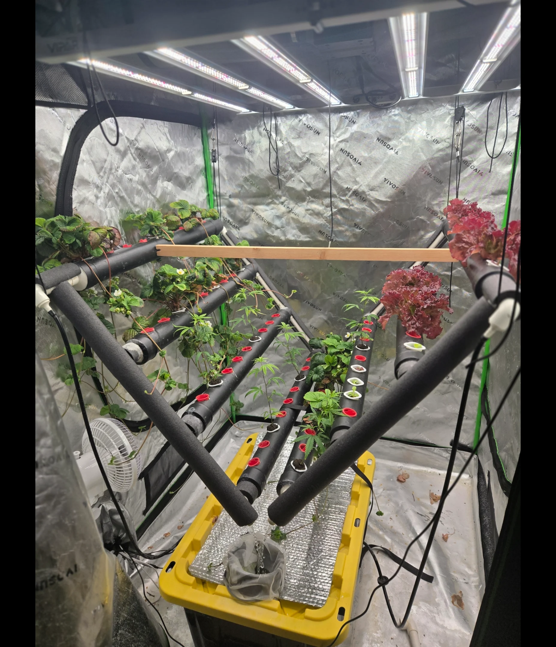 Screenshot_20250731_112516_Gallery.webp