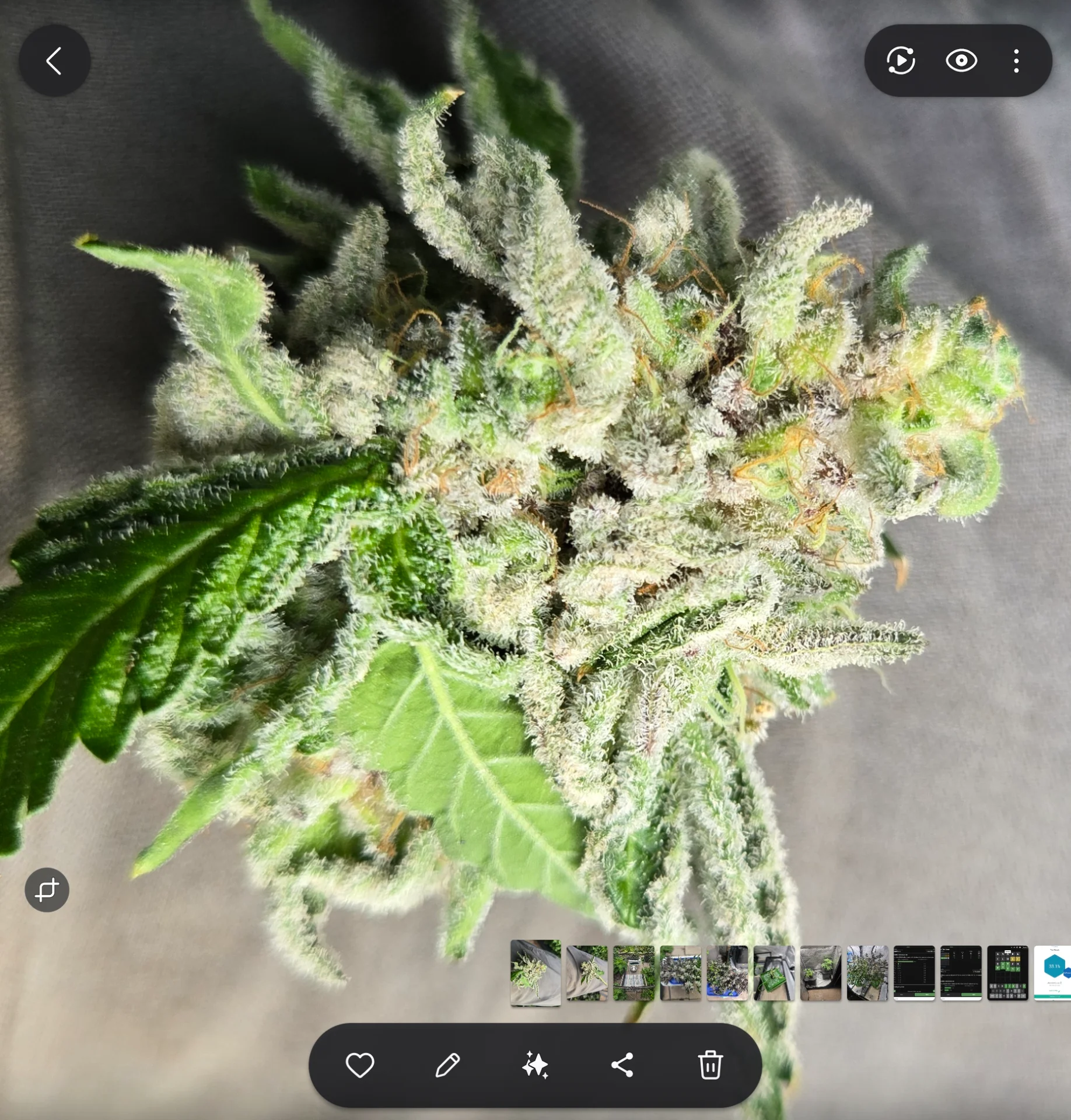 Screenshot_20260724_092033_Gallery.webp
