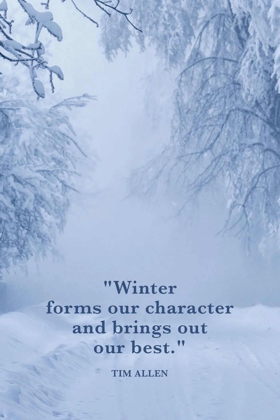 tim-allen-winter-quotes-1573493714.webp