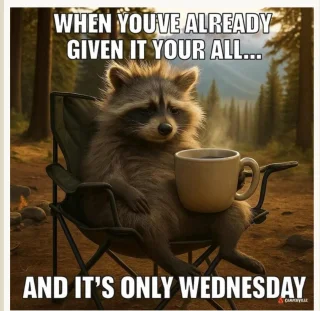 Wed.webp