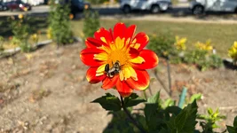 IMG_E1620.webp