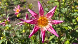 IMG_E1619.webp
