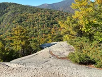 IMG_1796.webp