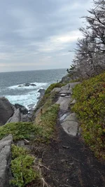 IMG_E1964.webp