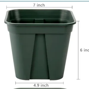 Screenshot 2024-11-25 at 1.55.45 PM.webp