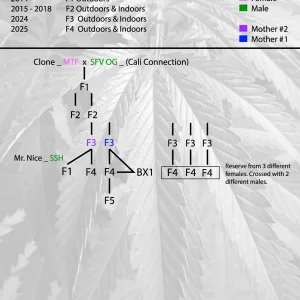 Valley-Ice_Lineage.webp