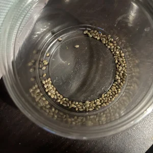 BlueberryxGDP.webp