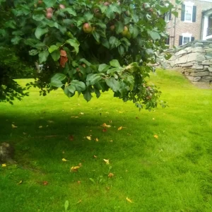 IMG_20230828_100252.webp