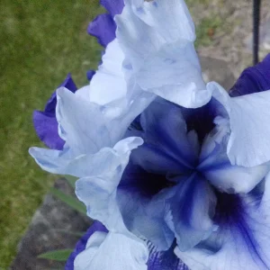 IMG_20250526_124412.webp