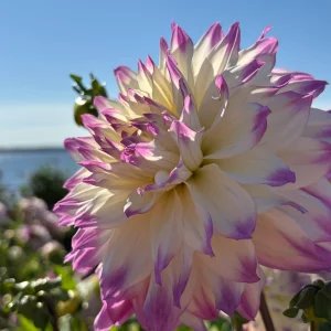 IMG_E0508.webp