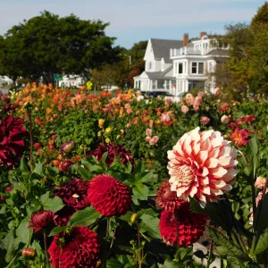 DSCN5638.webp