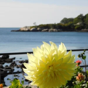 DSCN5662.webp