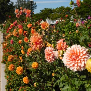 DSCN5673.webp