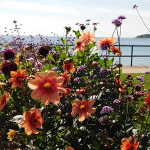 DSCN5688.webp