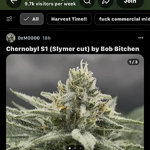 7C1CF6D9-246D-45D3-92E5-98C45921CE33.webp