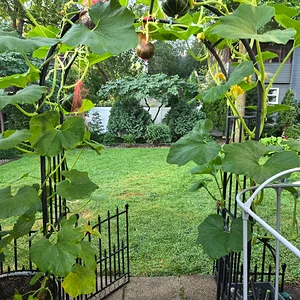 20260726_072901.webp