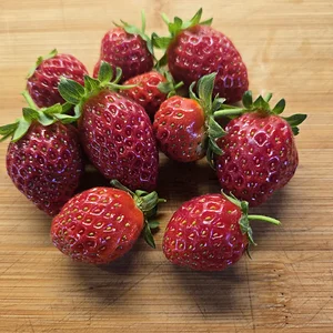 4331.webp