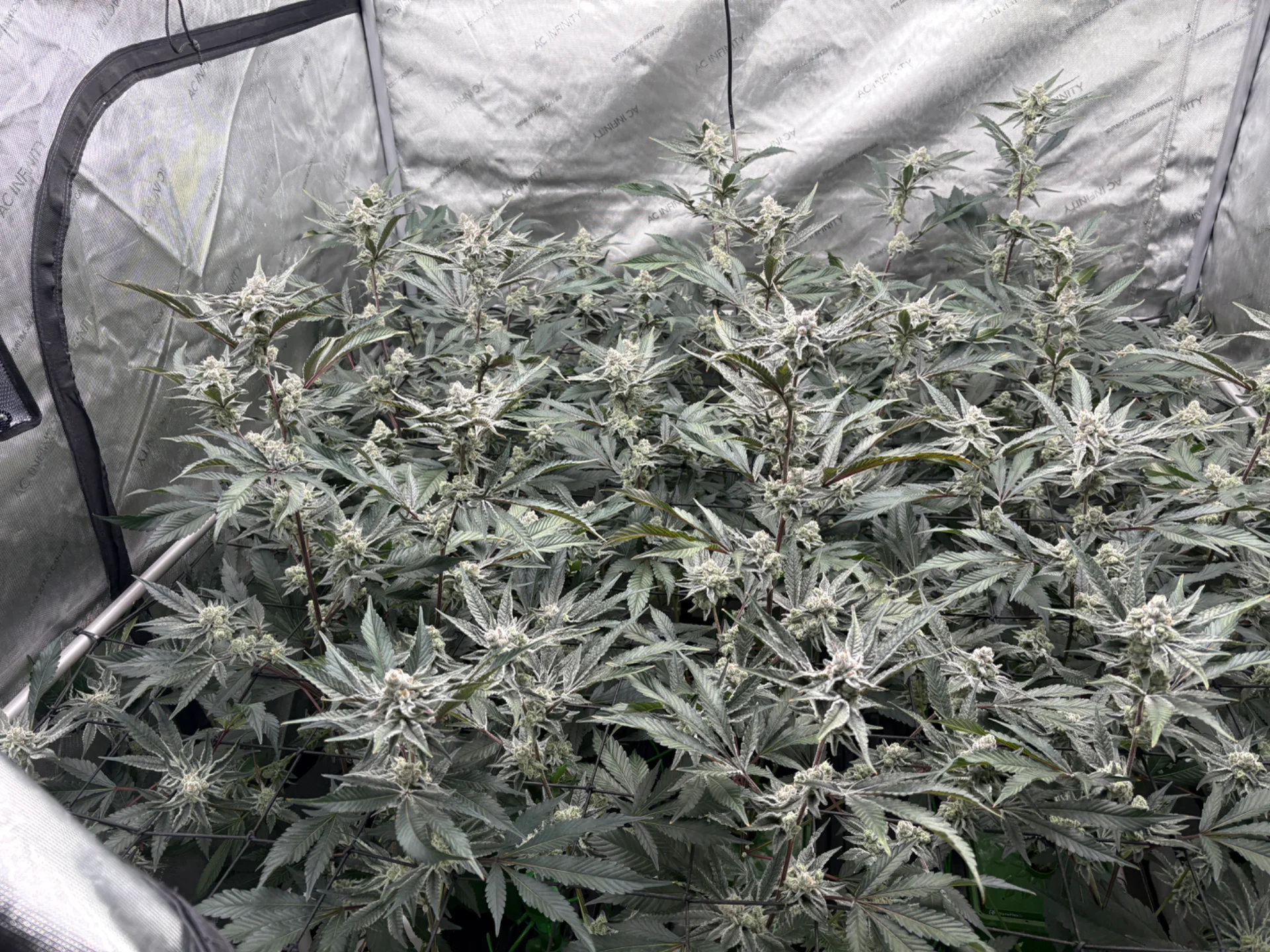 IMG_8493.webp