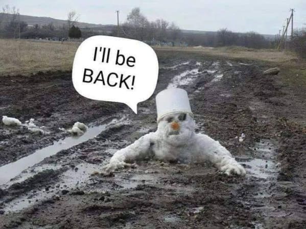 spring-memes-9.jpg