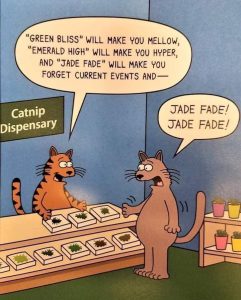 catnip-joke-241x300.jpg