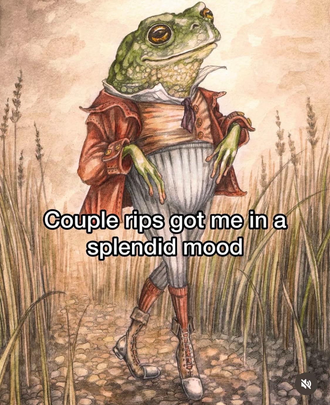 stoner-memes-5-20251113.jpeg
