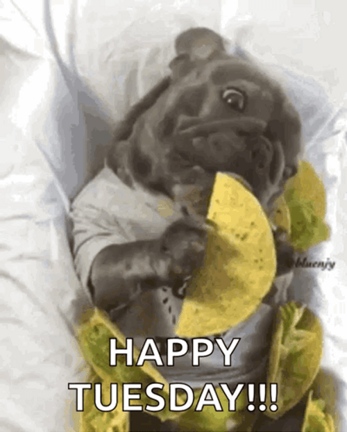 funny-happy-tuesday-dog-eating-taco-in-bed-rjn4f724gmbg779n.gif