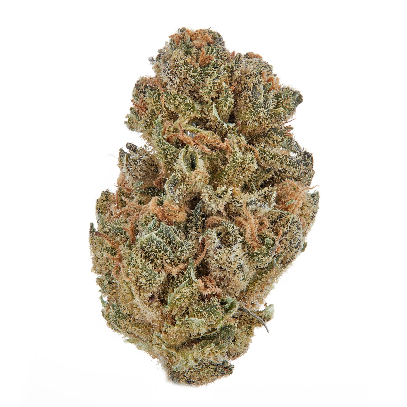 www.allbud.com