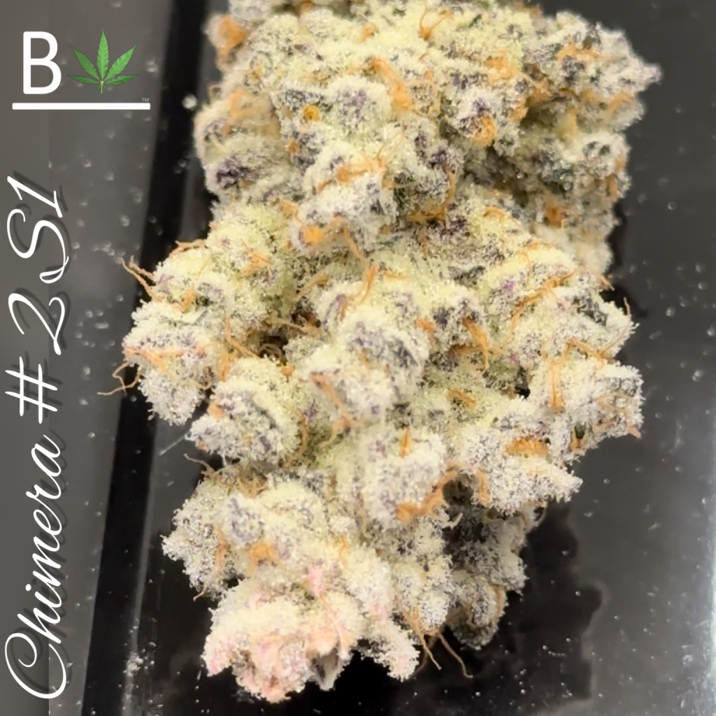 deeplyrootedseedbank.com