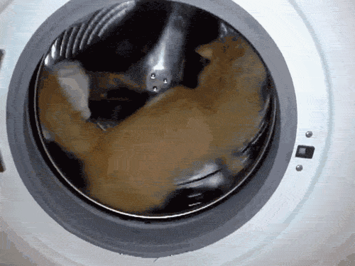 Dryer GIFs - Get the best gif on GIFER